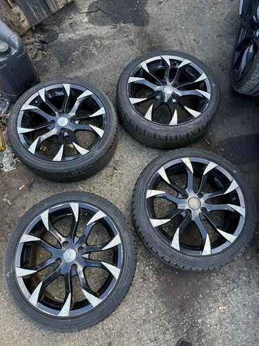 Wolf rac euro - 4,